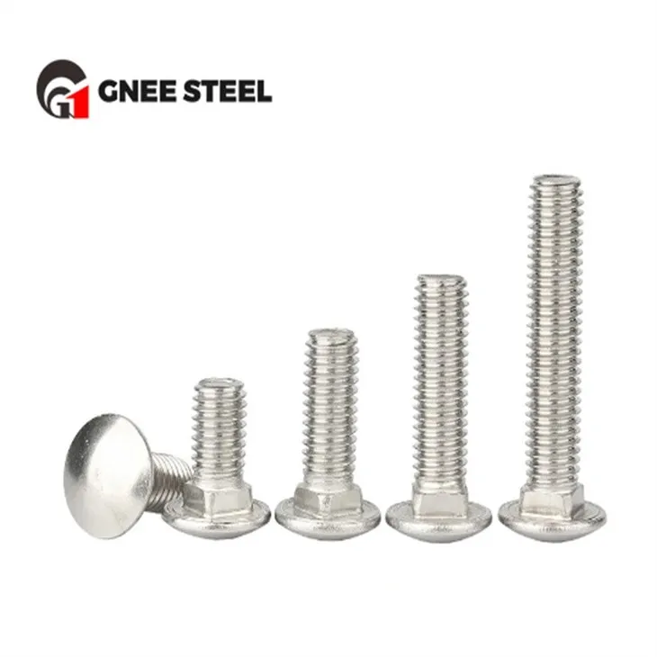 Stainless Steel SS304 SS316 Carriage Bolts