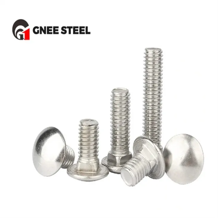 Stainless Steel SS304 SS316 Carriage Bolts